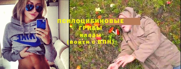 хмурый Алексеевка